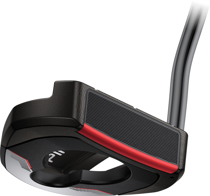 PING 2021 Fetch
