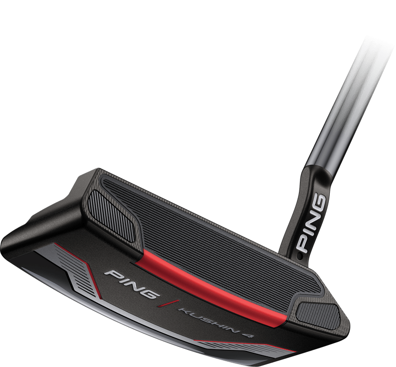 PING 2021 Kushin 4